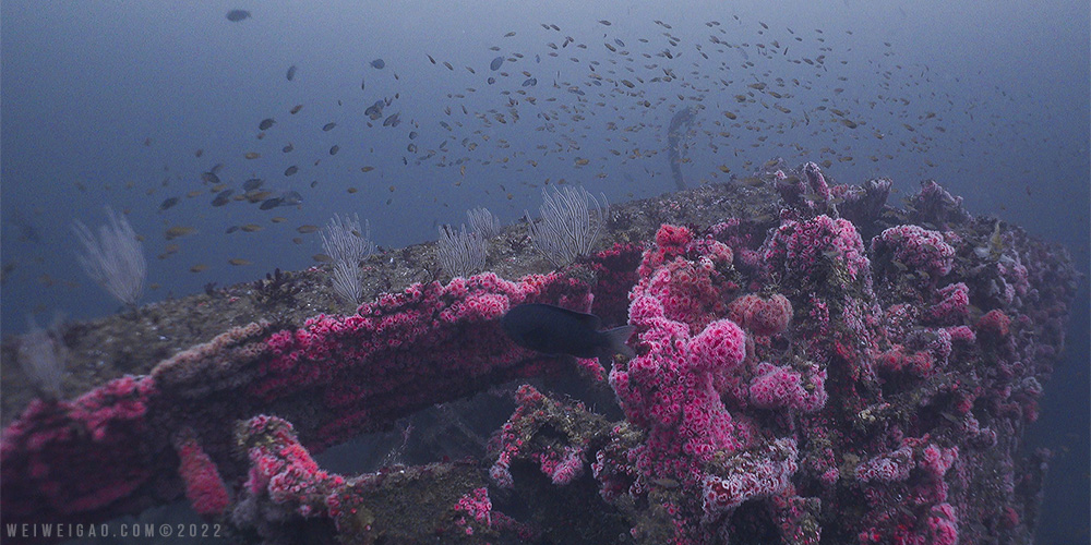 Wreck and Rock at La Bufadora