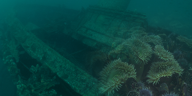 La Bufadora Excursion