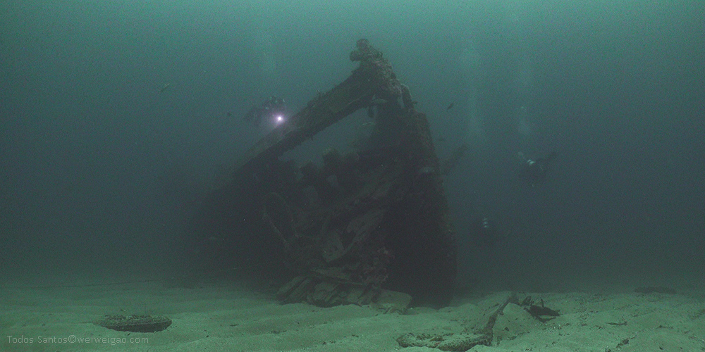 An Untouched Wreck
