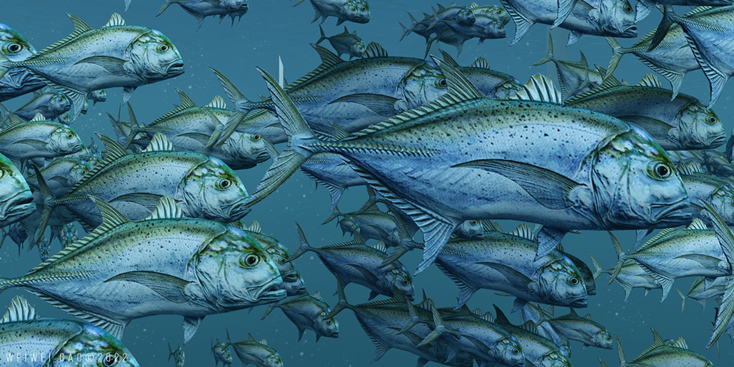 Jack School in the Ocean